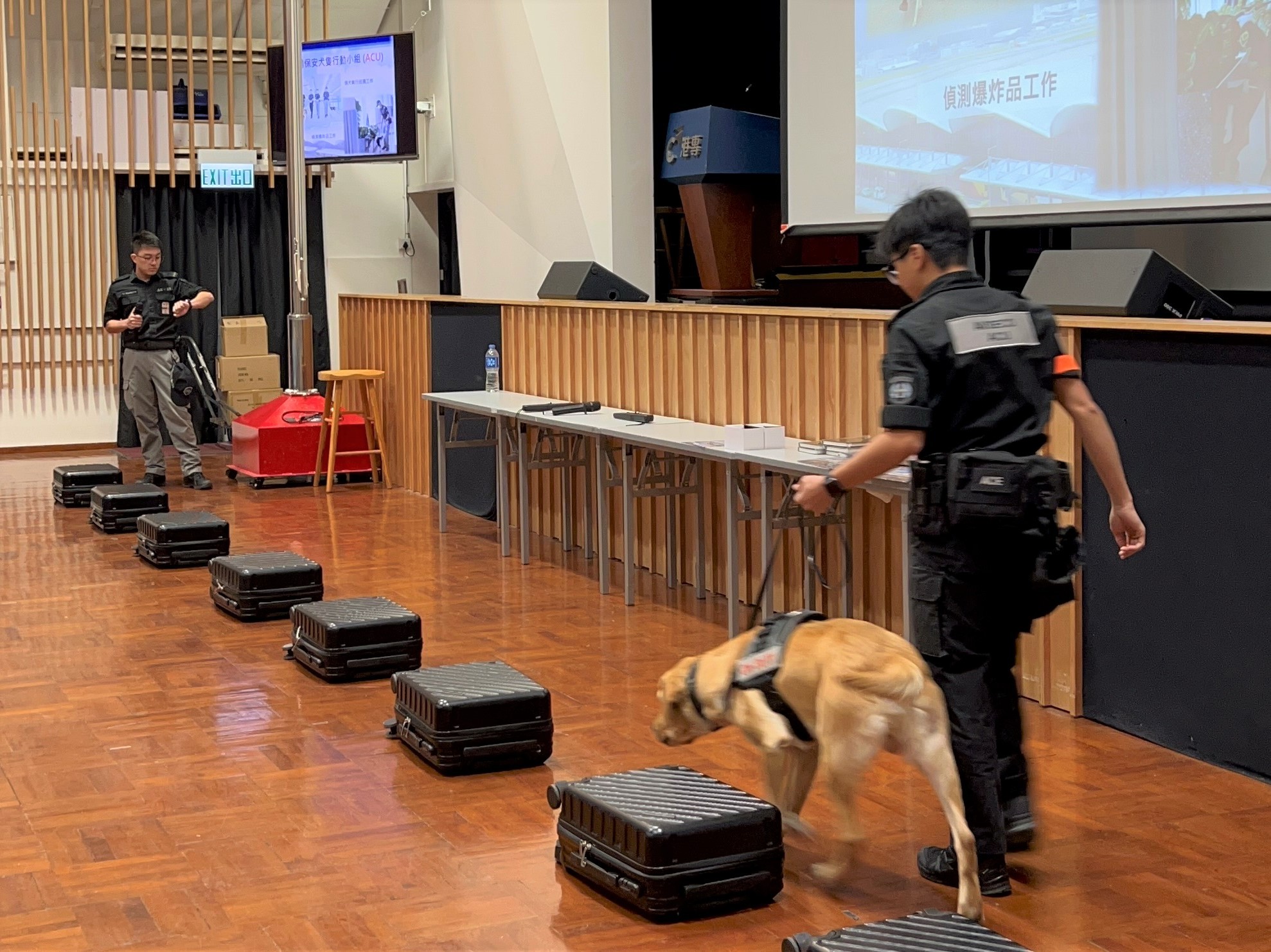 應用教育文憑 DAE - 搜索犬現場示範 機場保安工作講座 應用教育文憑 DAE - 搜索犬現場示範 機場保安工作講座