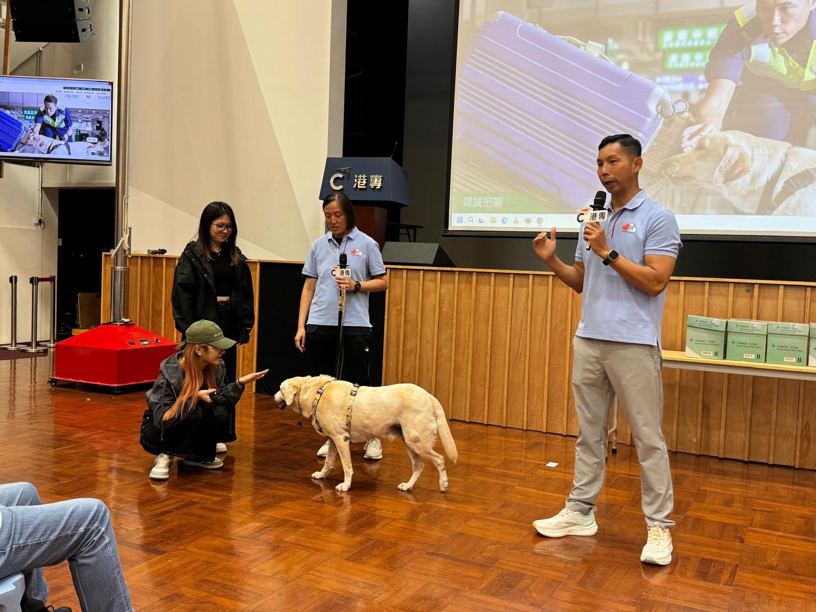 應用教育文憑 DAE - 海關講座.緝毒犬現場示範 應用教育文憑 DAE - 海關講座.緝毒犬現場示範