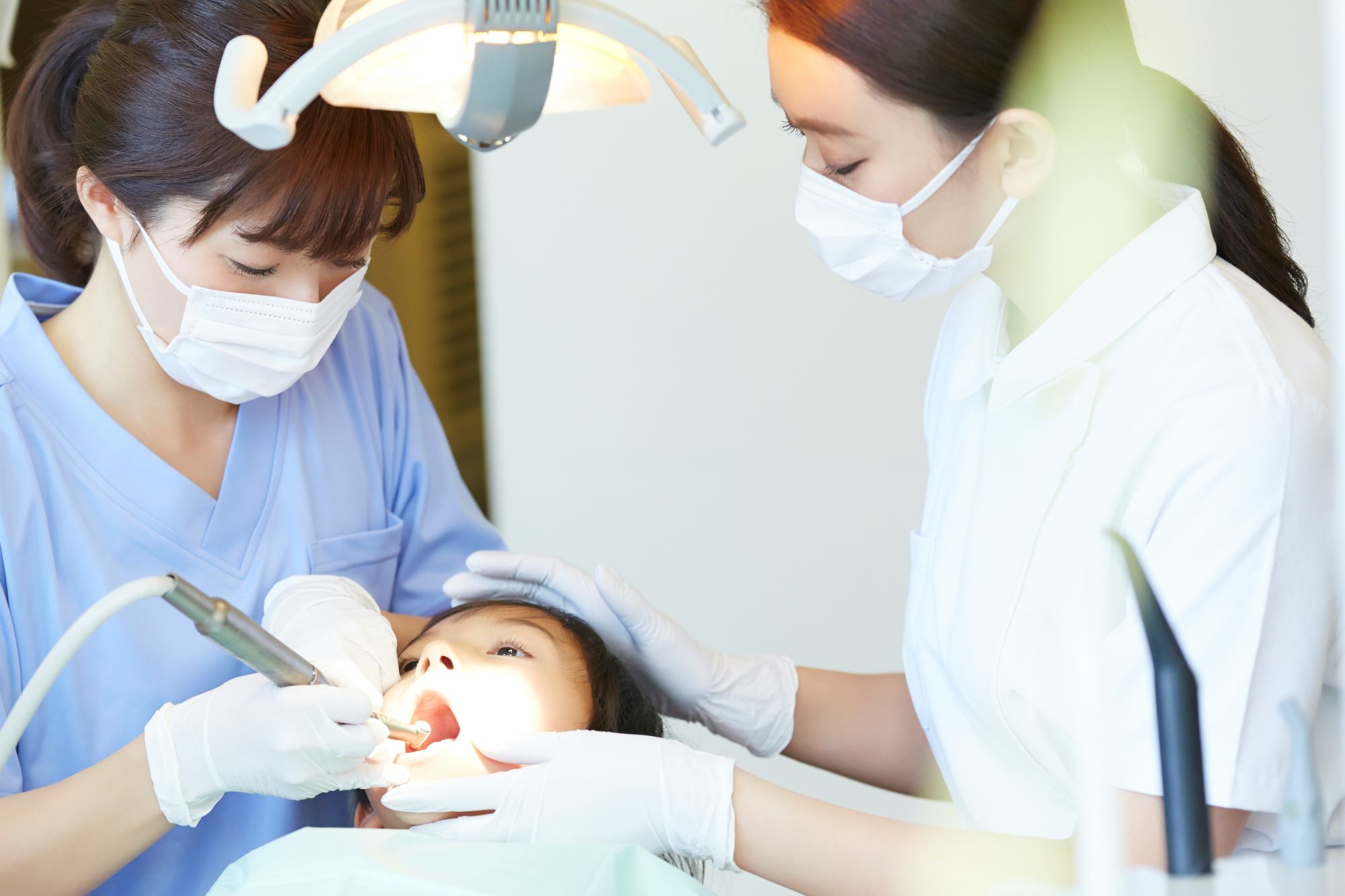 港專DAE 基礎牙科科學 課程